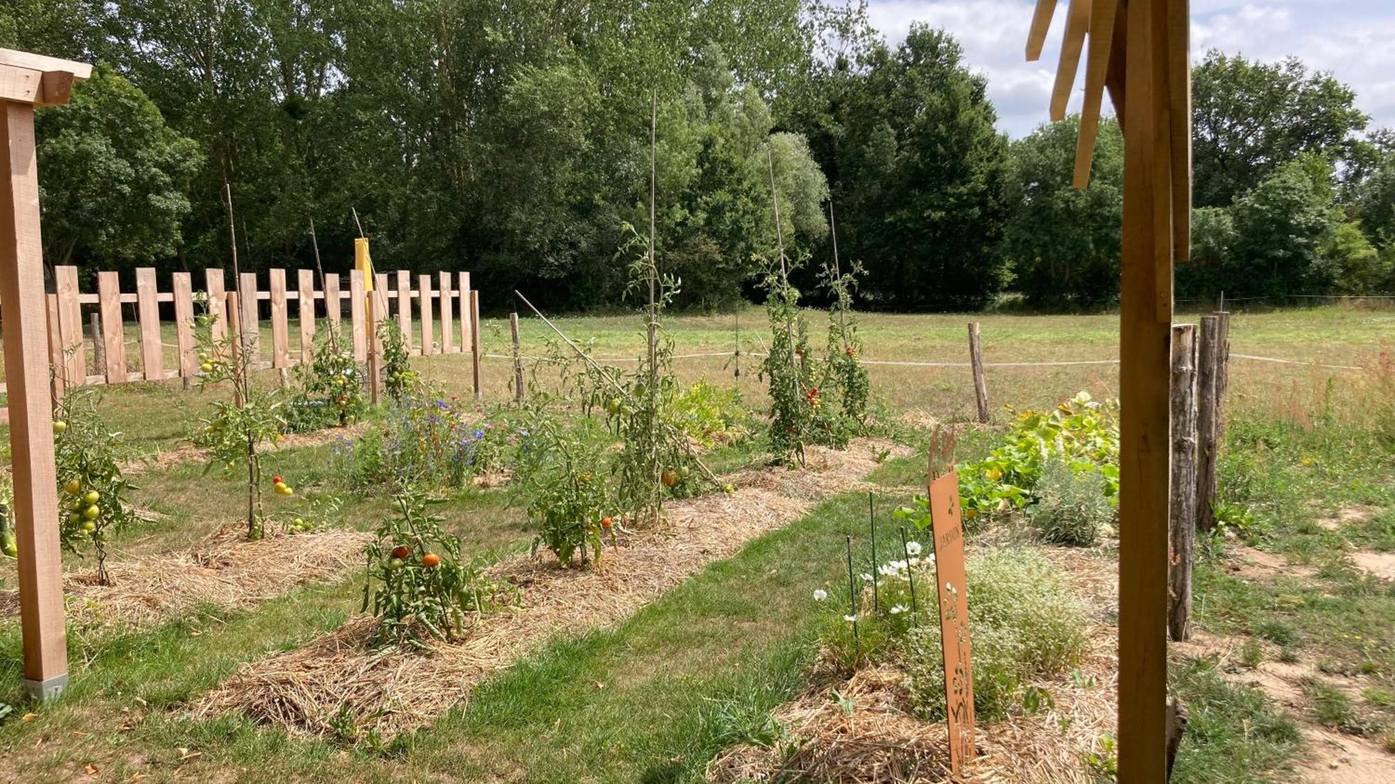 Denée O Bord De Loire B&B 외부 사진