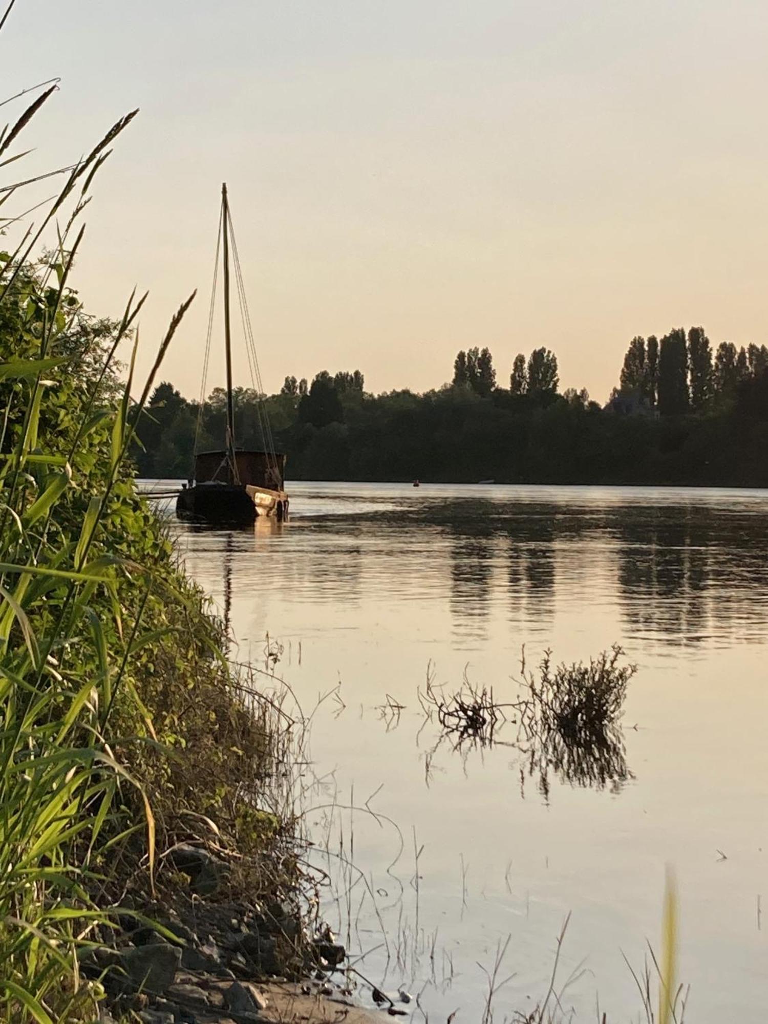 Denée O Bord De Loire B&B 외부 사진